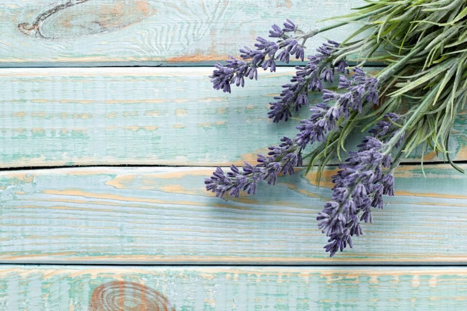 Aromatherapy Aromatherapy