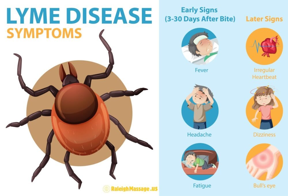Lyme disease symptoms